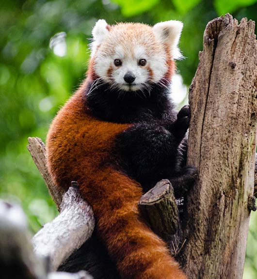 To some, designing a website around placeholder